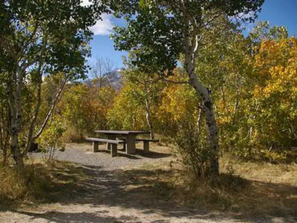 Park Inn, located near Angel Creek Campground